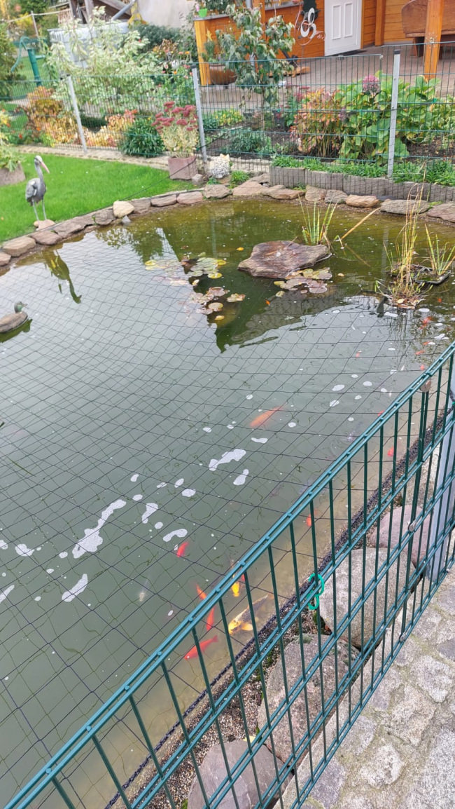 Kundenfoto von Heron Protection Net by the m² (Custom-Made), black 