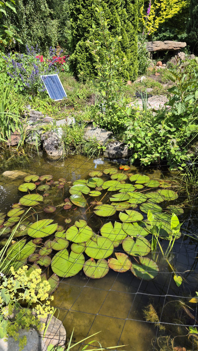 Kundenfoto von Heron Protection Net by the m² (Custom-Made), black 