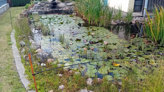 Kundenfoto von Heron Protection Net by the m² (Custom-Made), black 