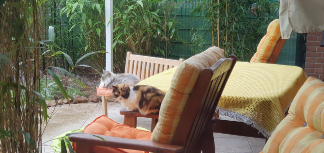 Kundenfoto von Tennis Court Screen by the m² (Custom-Made 