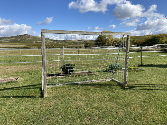 Kundenfoto von Customized Soccer Goal Net 