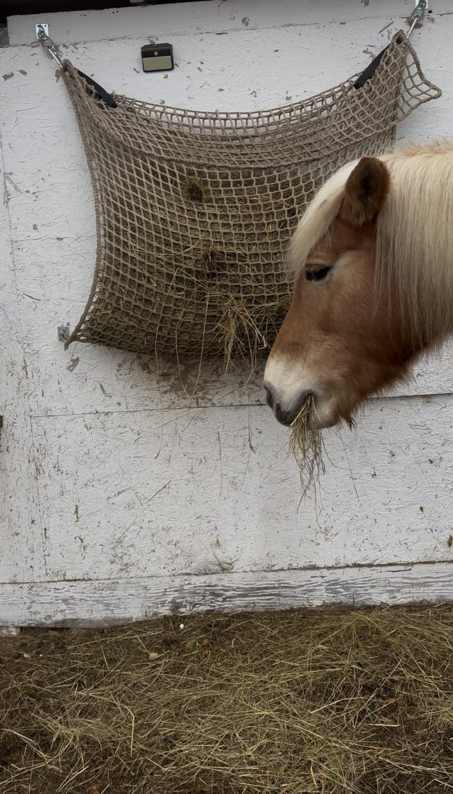 Kundenfoto von Custom-Made Hay Net Bag 