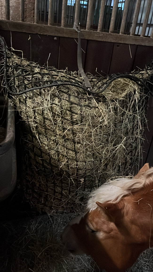 Kundenfoto von Horse Feeding Bag by the m² (Custom-Made) 