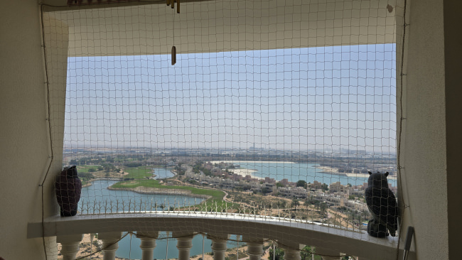 Kundenfoto von Safety Net by the m² (Made to Measure) 1.0/50 mm 