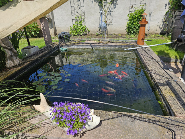 Kundenfoto von Safety Net by the m² (Made to Measure) 1.0/50 mm 