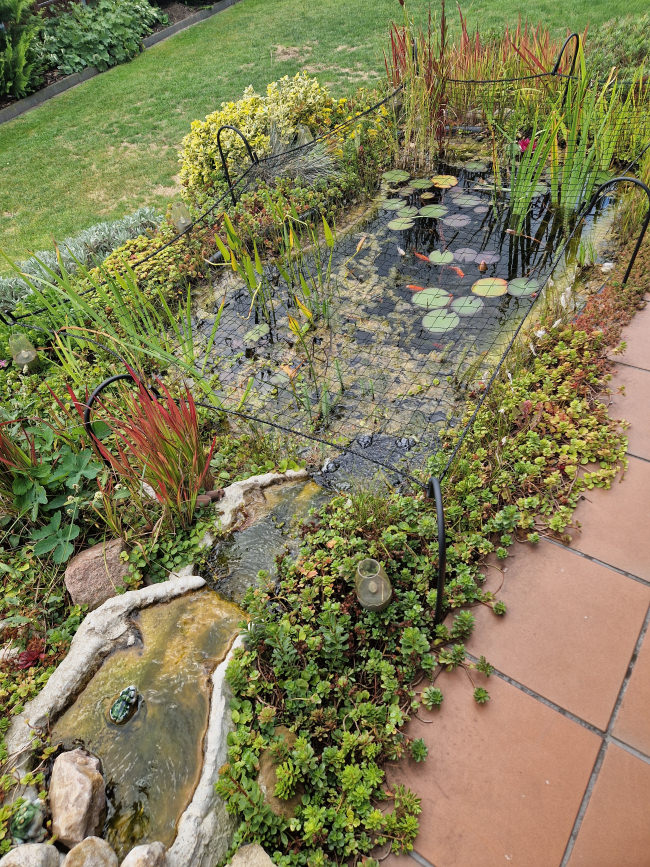 Kundenfoto von Safety Net by the m² (Made to Measure) 1.0/50 mm 