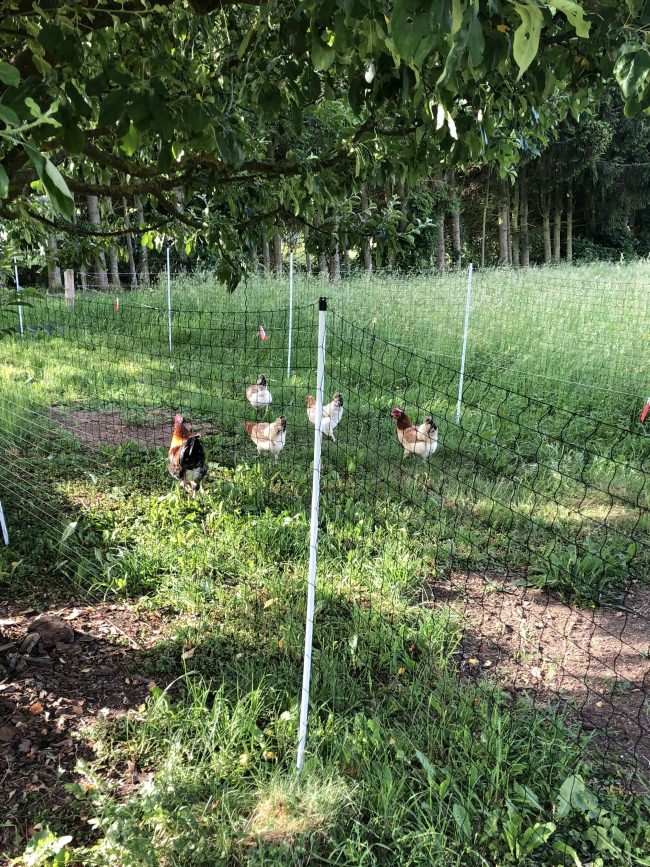 Kundenfoto von Fastening Cord 3 mm - Available by the Meter 