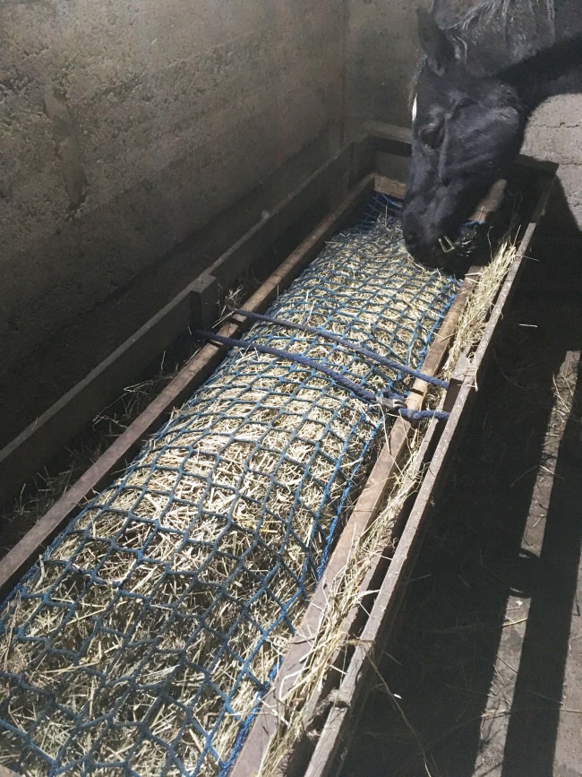 Kundenfoto von Hay Net by the m² (Custom-Made) 