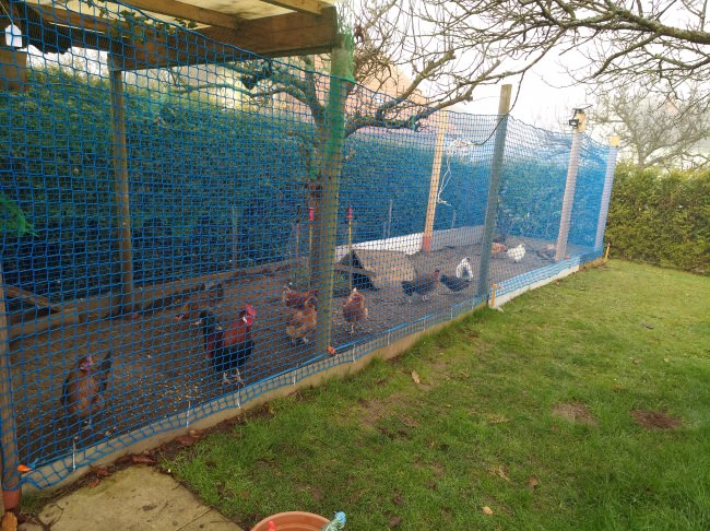 Kundenfoto von Netz nach Maß (per m²) 