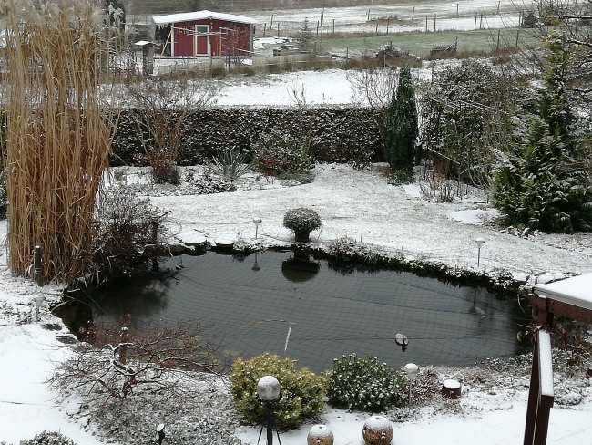 Kundenfoto von Heron Guard Net by the m² (Custom-Made), black 