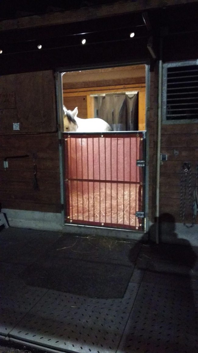 Kundenfoto von Windschutznetz nach Maß für Heim, Garten und Sport 
