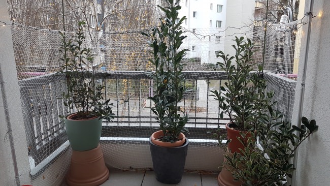 Kundenfoto von Cat Net by the m² (Made to Measure) 