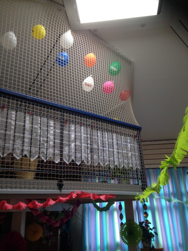 Kundenfoto von Netz nach Maß (per m²) 