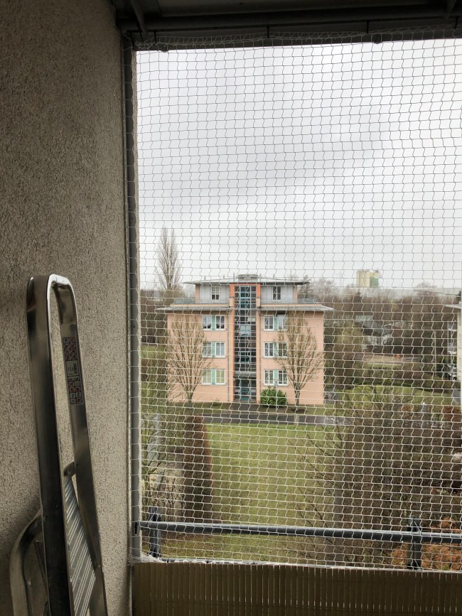 Kundenfoto von Cat Net by the m² (Made to Measure) 