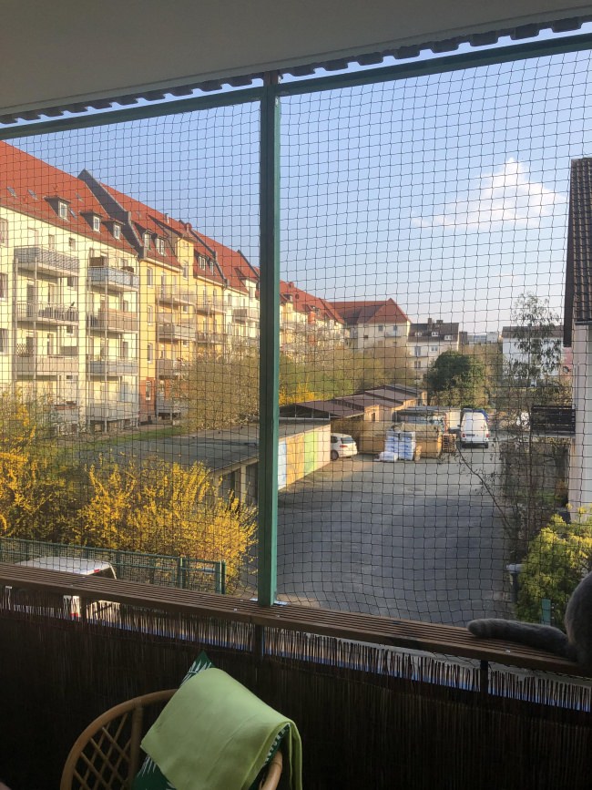 Kundenfoto von Cat Net by the m² (Made to Measure) 