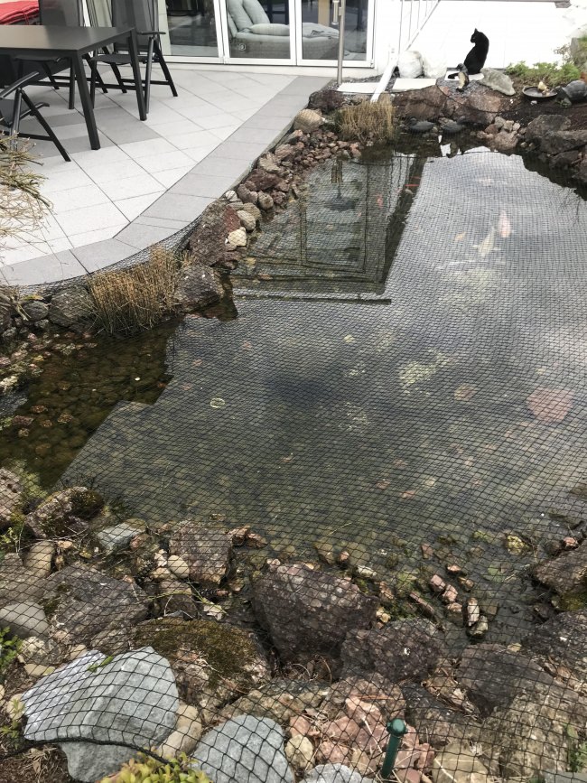 Kundenfoto von Cat Safety Net by the m² (Custom-Made) 