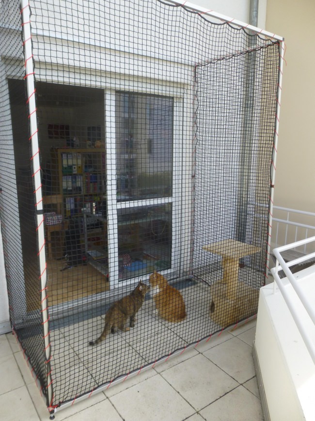 Kundenfoto von Fastening Cord 3 mm - Available by the Meter 