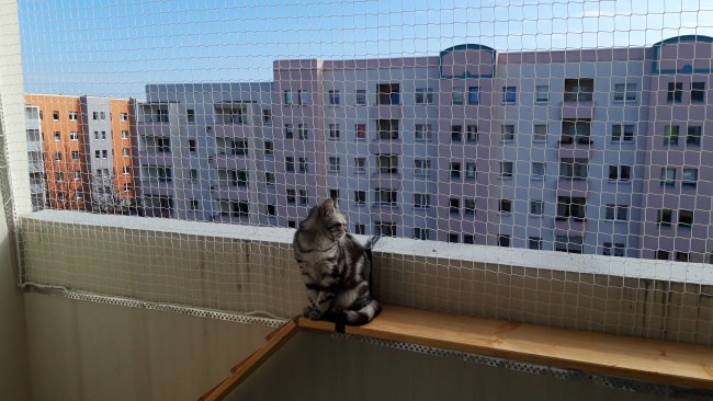 Kundenfoto von Cat Safety Net by the m² (Custom-Made) 