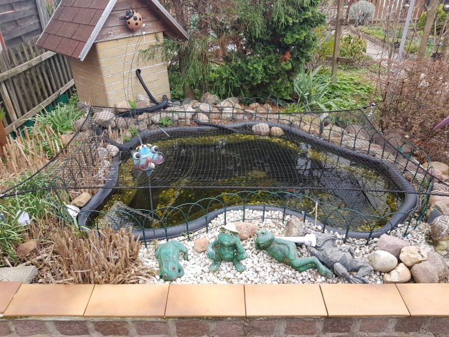 Kundenfoto von Leaf Net by the m² (Custom-Made) 