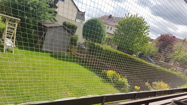 Kundenfoto von Extra Strong Cat Safety Net, Custom-Made 