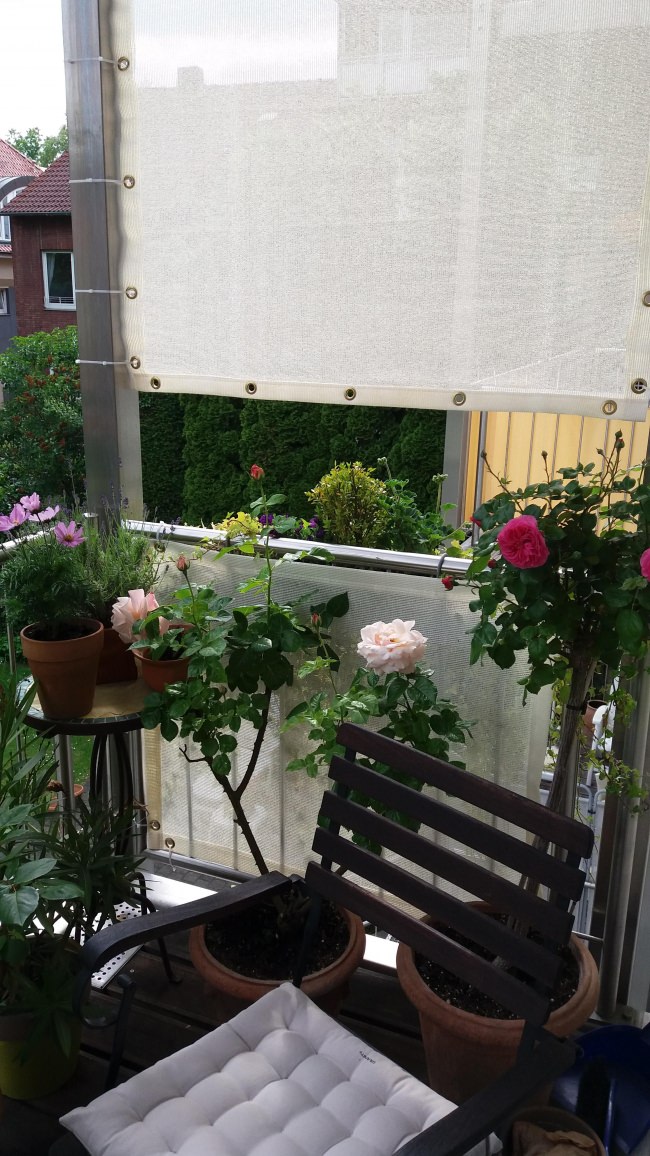 Kundenfoto von Windschutznetz nach Maß für Heim, Garten und Sport 