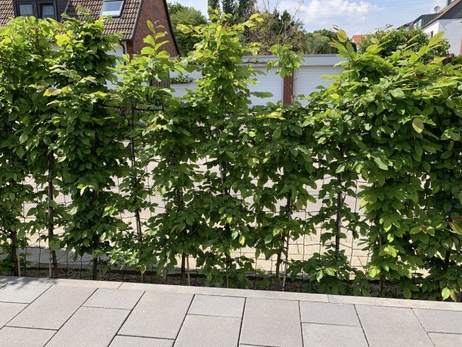 Kundenfoto von Safety Net by the m² (Customised) 2.3/100 mm 