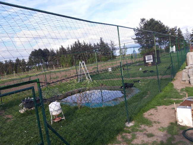 Kundenfoto von Aviary Net by the m² (Custom-Made), black 