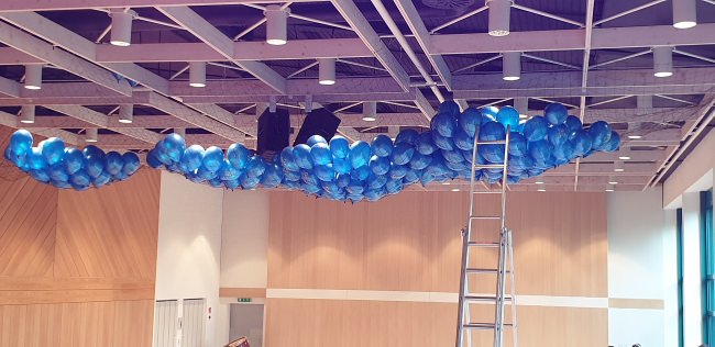 Kundenfoto von Heron Guard Net by the m² (Custom-Made), black 