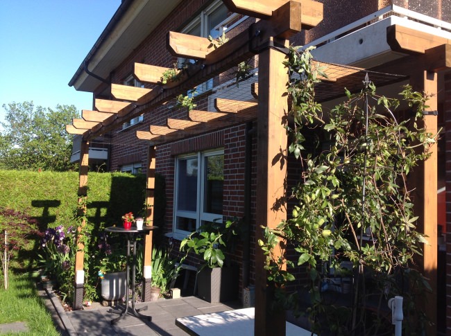 Kundenfoto von Climbing Plant Net by square meter (Custom-Made), Black 