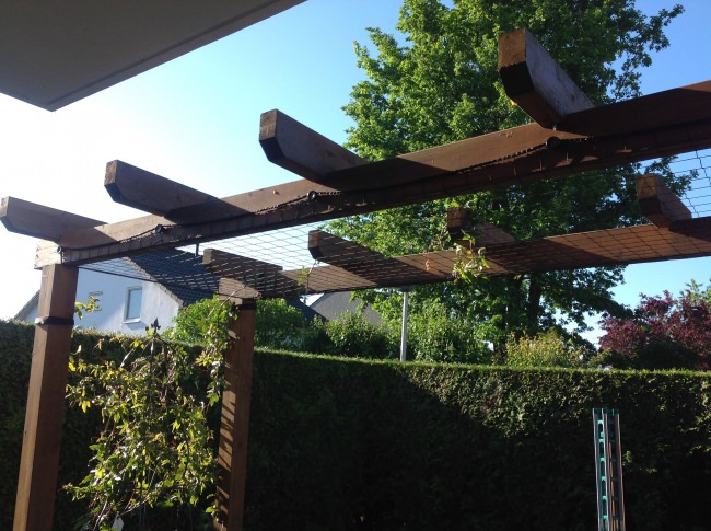 Kundenfoto von Climbing Plant Net by square meter (Custom-Made), Black 