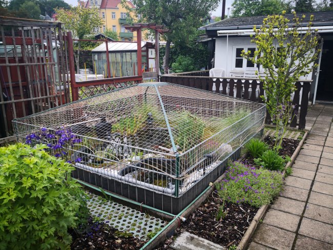 Kundenfoto von Taubenschutznetz per m² (nach Maß) 