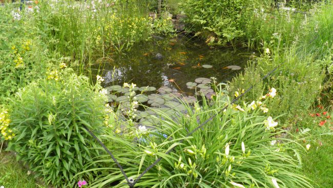 Kundenfoto von Heron Protection Net by the m² (Custom-Made), black 