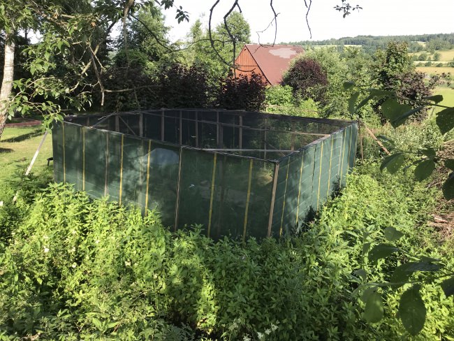 Kundenfoto von Geflügelnetz mit Abschlusskante bestellen 