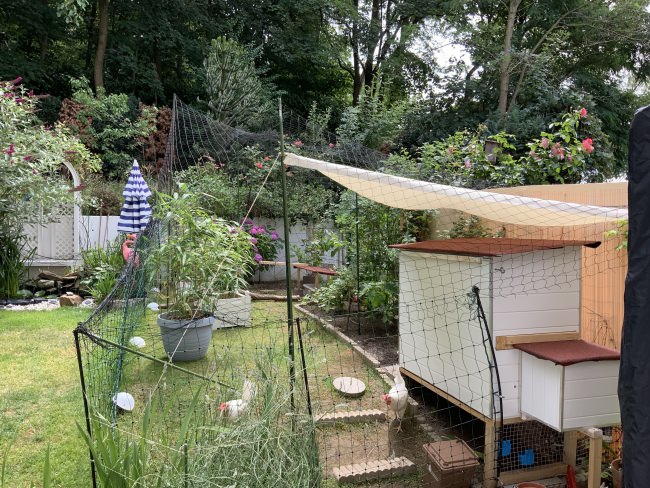 Kundenfoto von Poultry Net by the m² (Made to Measure), Black 