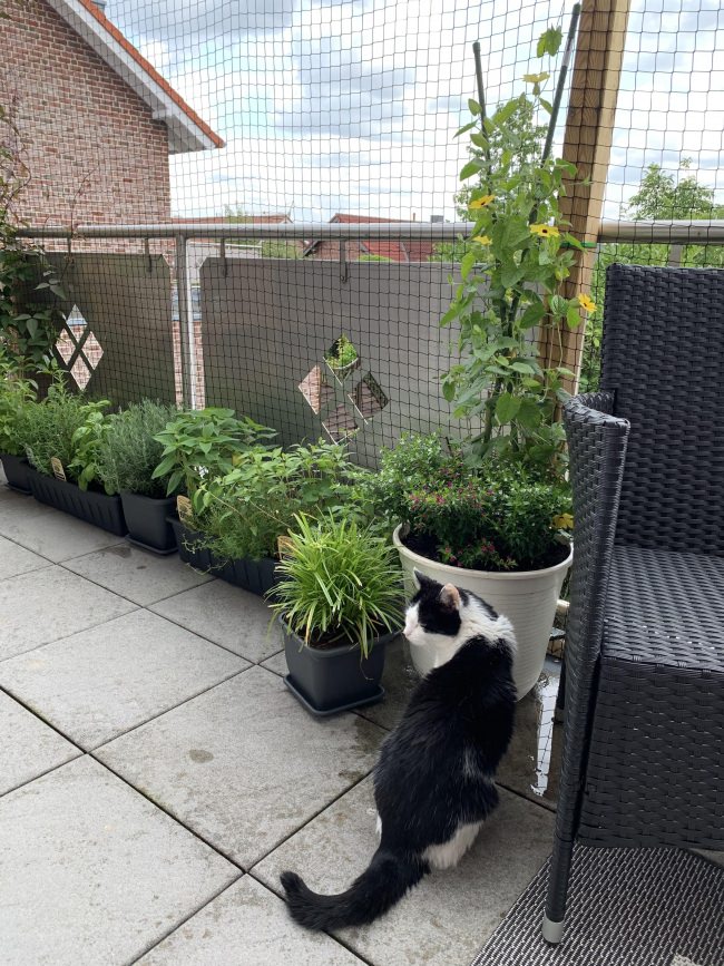 Kundenfoto von Cat Safety Net by the m² (Custom-Made) 