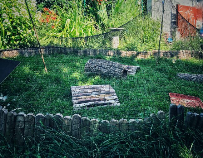 Kundenfoto von Bird Protection Net with Border, by the m² (Custom-Made) 