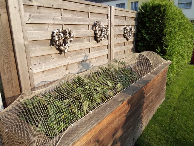 Kundenfoto von Close-Meshed Bird Net with Border (Made to Measure) 