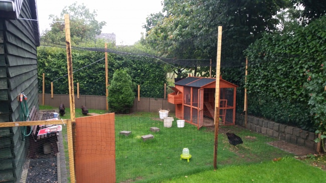 Kundenfoto von Poultry Net by the m² (Made to Measure), Black 