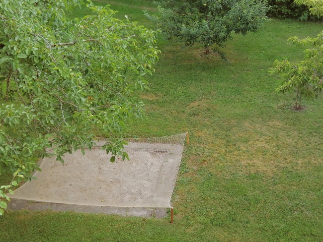 Kundenfoto von Schutznetz nach Maß (per m²) 1,0/20 mm 