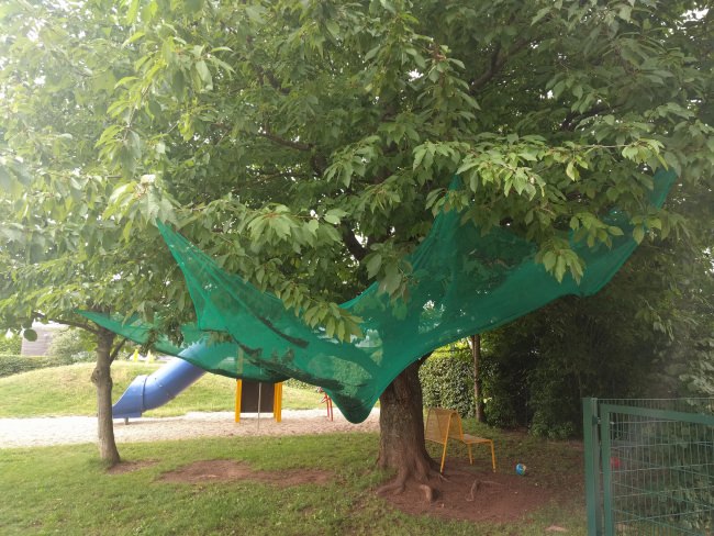 Kundenfoto von Dust Protection Net 3.07 x 10.00 m 