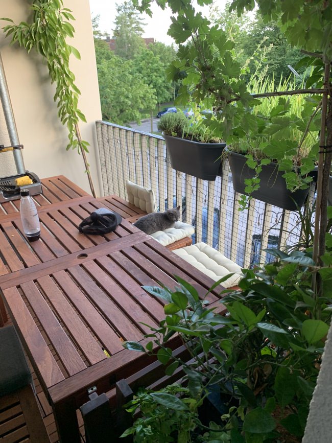 Kundenfoto von Cat Net by the m² (Made to Measure) 