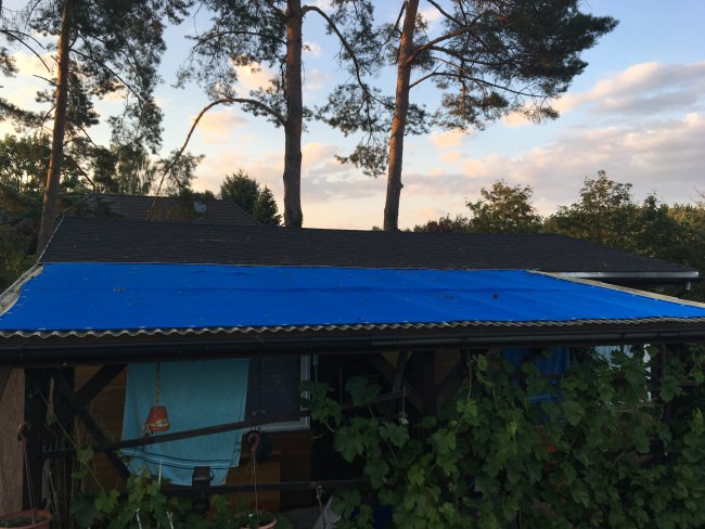 Kundenfoto von Privacy Netting - 50% - by the m² (Custom-Made) 