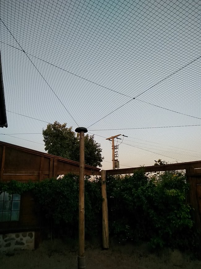 Kundenfoto von Cat Safety Net by the m² (Custom-Made) 