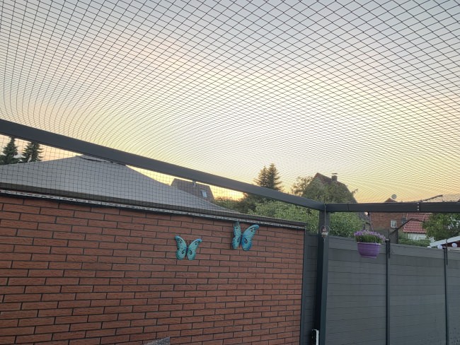 Kundenfoto von Cat Net by the m² (Made to Measure) 