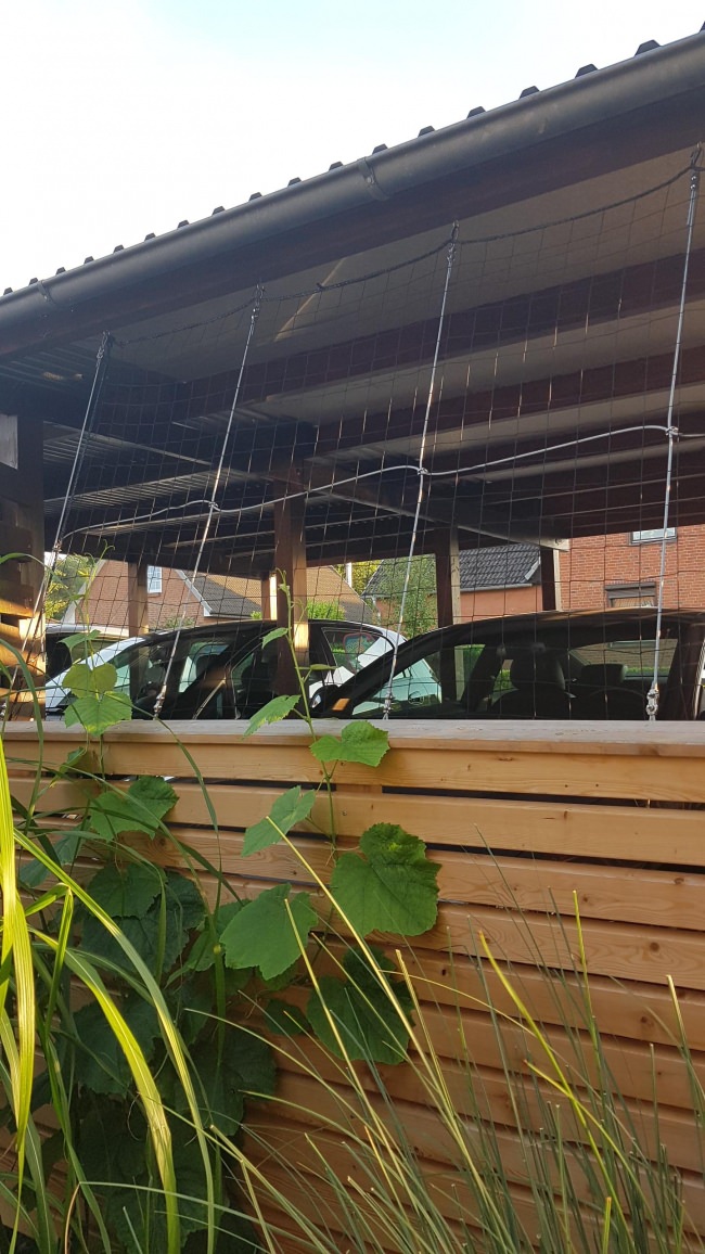 Kundenfoto von Climbing Plant Net by square meter (Custom-Made), Black 