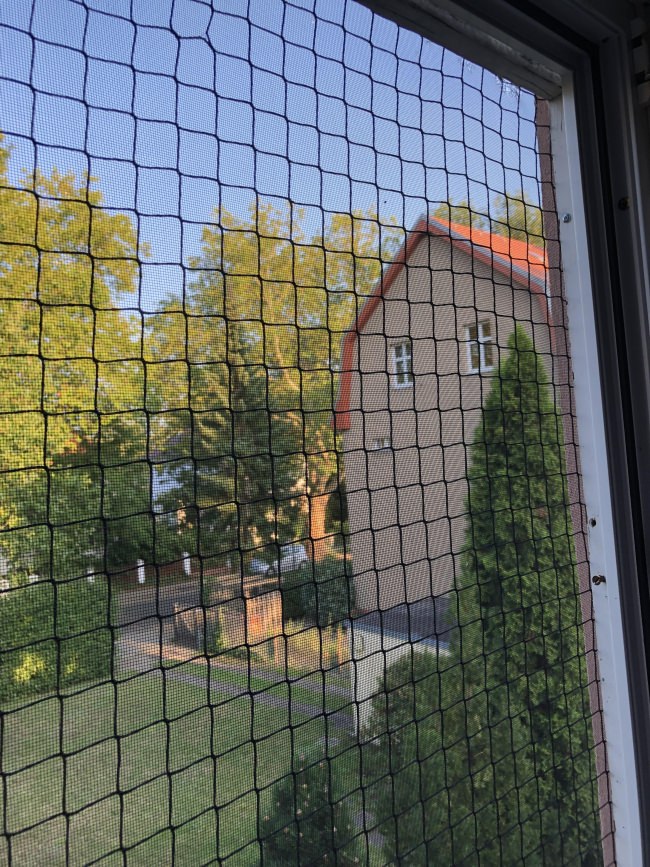 Kundenfoto von Cat Safety Net by the m² (Custom-Made) 