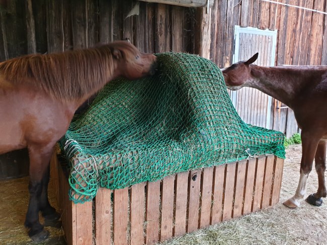 Kundenfoto von Hay Feeding Net by the m² (Custom-Made) 
