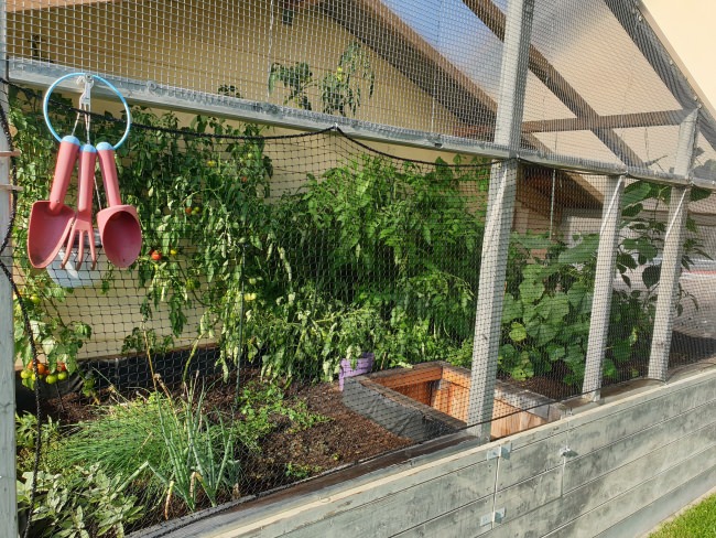 Kundenfoto von Close-Meshed Bird Net with Border (Made to Measure) 