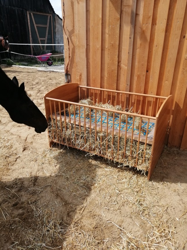 Kundenfoto von Hay Net by the m² (Custom-Made) 