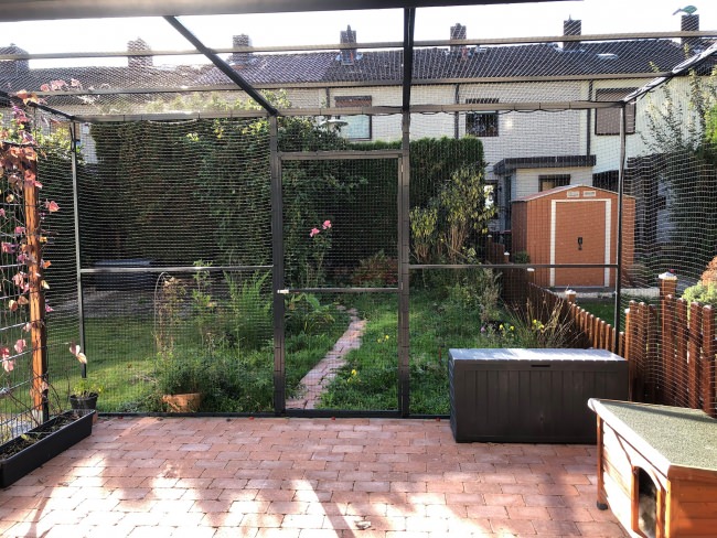 Kundenfoto von Netz per Quadratmeter (nach Maß) 1,0/30 mm 